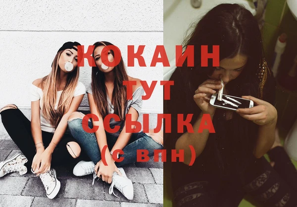 спиды Михайлов