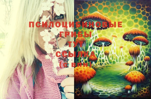 мдма Михайловка