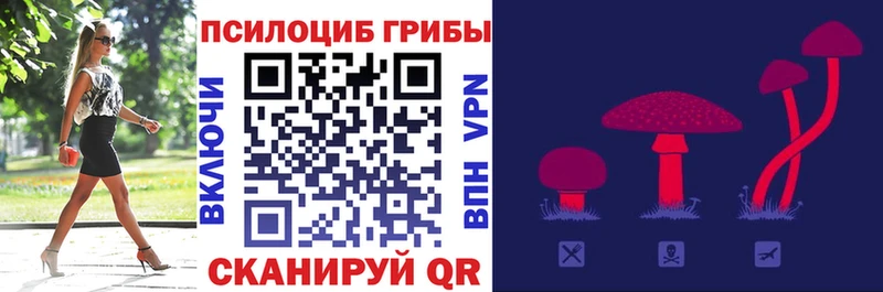 Псилоцибиновые грибы GOLDEN TEACHER  OMG сайт  Ревда 