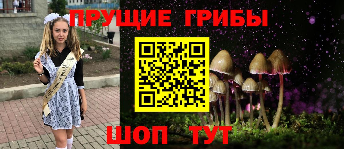 Псилоцибиновые грибы мухоморы  Псилоцибиновые грибы Psilocybine cubensis  Ревда 