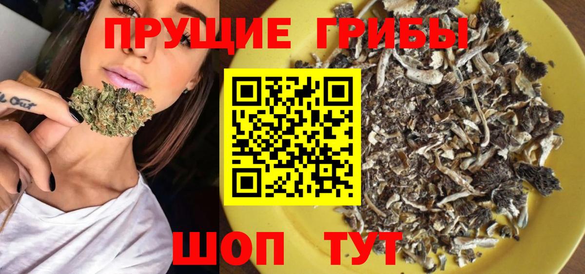 Ревда  Галлюциногенные грибы MAGIC MUSHROOMS  Псилоцибиновые грибы прущие грибы  Вход с VPN 