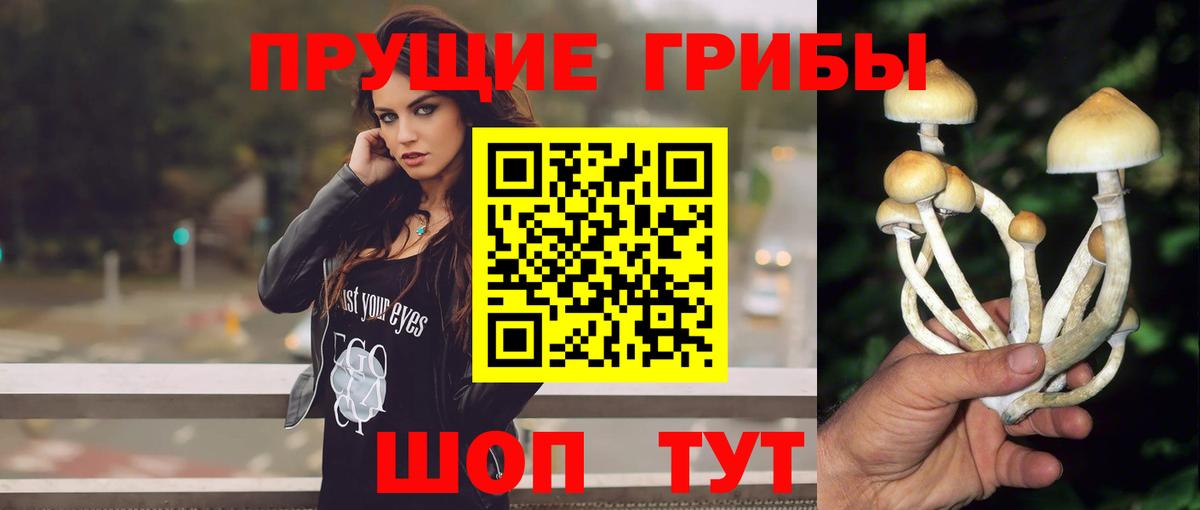 Галлюциногенные грибы прущие грибы Ревда